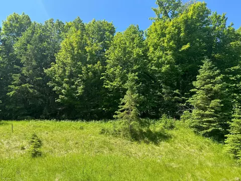 Tbd N Blackduck Lake Road Ne, Hines Twp, MN 56630