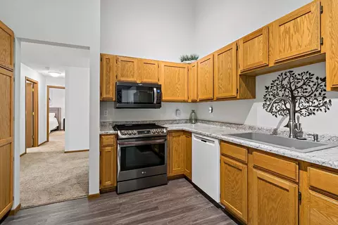 3579 Blue Jay Way #201, Eagan, MN 55123 photo 12