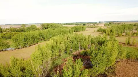 1750 90th St SW, Appleton, MN 56208 photo 2