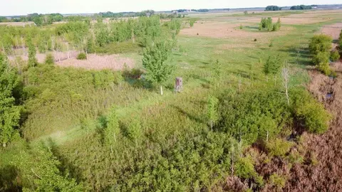 1750 90th St SW, Appleton, MN 56208 photo 8