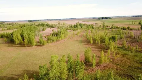 1750 90th St SW, Appleton, MN 56208 photo 7