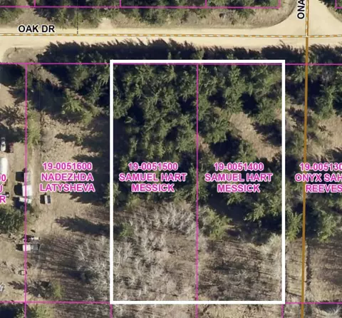 lot S 22 23 Oak Dr, Browerville, MN 56438