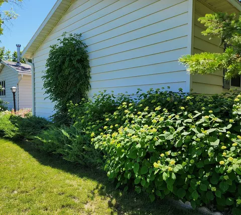 202 1st St, Danube, MN 56230 photo 34
