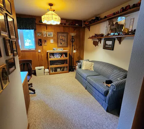 202 1st St, Danube, MN 56230 photo 14