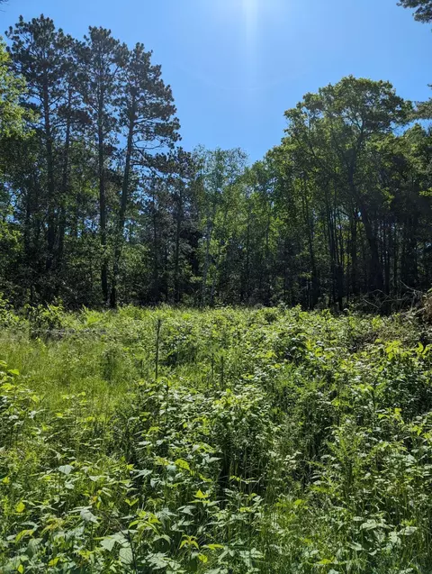 31 Nnn Wildwood Ln, Breezy Point, MN 56472