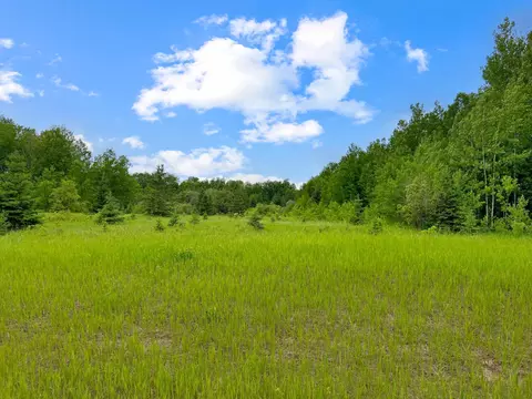 tbd 131st Ave, Laprairie Twp, MN 56621