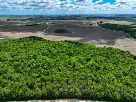 Xx40 351st Avenue, Amherst Twp, MN 55939