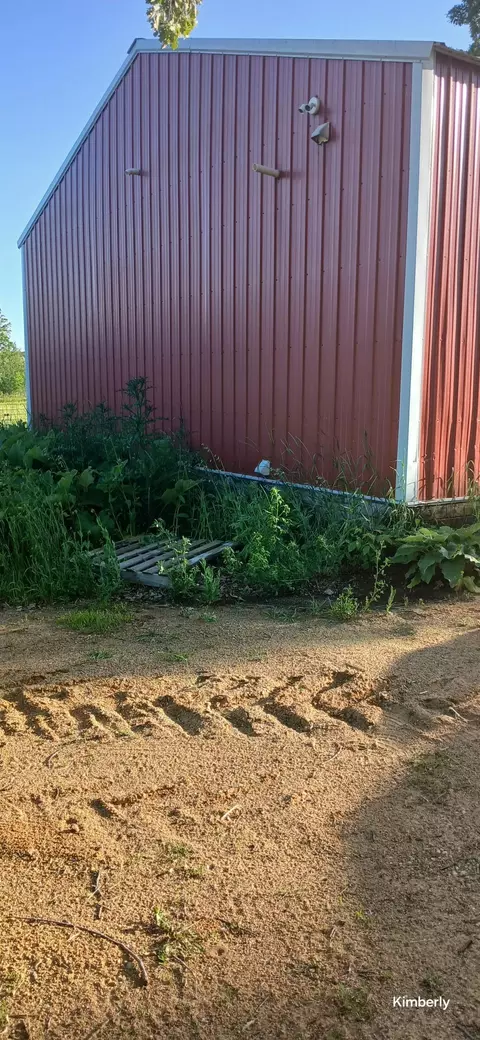 45872 County 9, Staples, MN 56479 photo 3