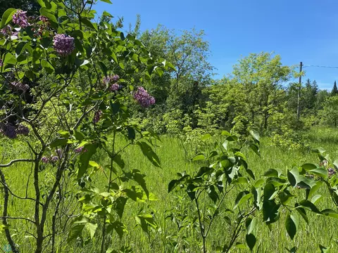 48227 County Highway 26, Carsonville Twp, MN 56575