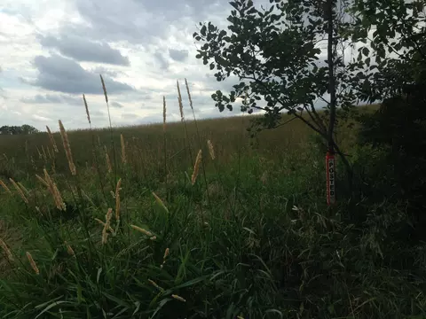 Nnnn 50th Street N, Lake Elmo, MN 55042