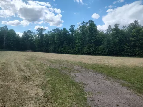 22440 County Rd 9, Bemidji, MN 56601 photo 3