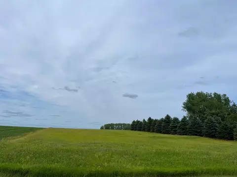 00000 County Highway 35, Lorain Twp, MN 56187