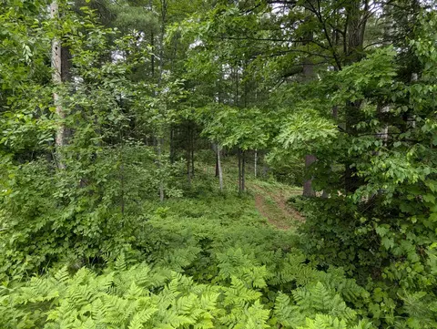 tbd 5th St S, Walker, MN 56484 photo 3