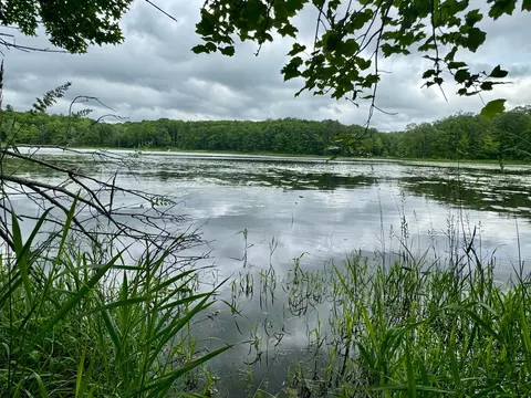 Tbd Red Stone Drive, Cushing, MN 56443