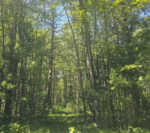 Nnn Peterson Road, Webster, WI 54893