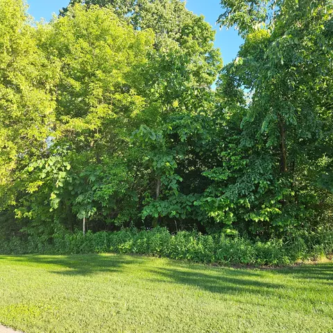 w901 Silver Fox Drive, Spring Valley, WI 54767