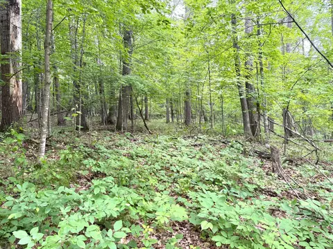 tbd 80ac Vineland Rd, Kathio Twp, MN 56359