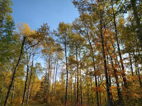 5461 E County Road C, Parkland Twp, WI 54874 photo 15