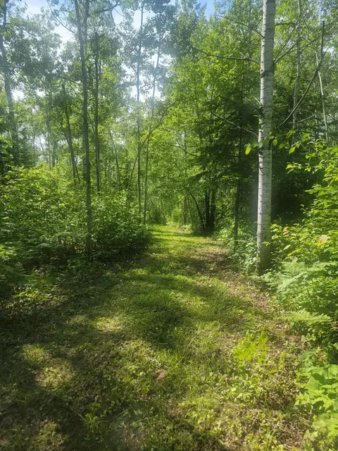 5461 E County Road C, Parkland Twp, WI 54874 photo 6