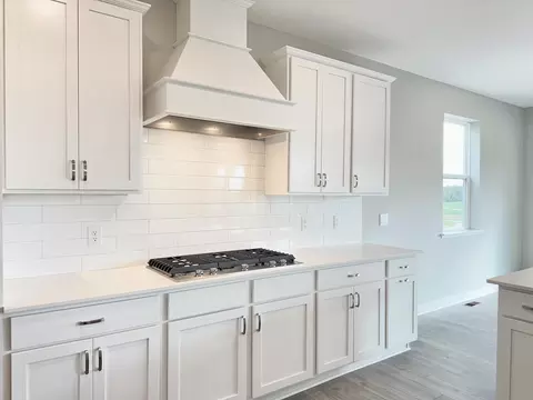 4714 Devonshire Ln, Chaska, MN 55318 photo 9