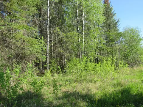 tbd Cloverdale Rd, Nashwauk, MN 55769