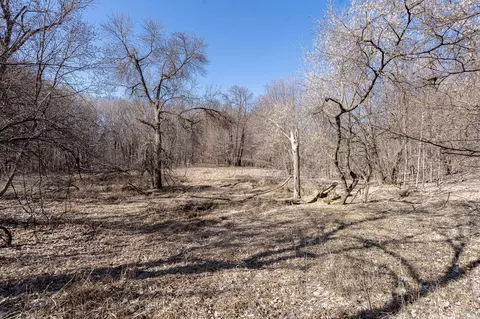 31748 380th St, Dent, MN 56528 photo 10