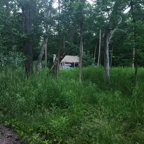 1051 315th Ave, Frederic, WI 54837 photo 17