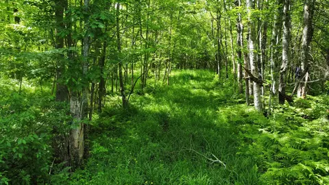 9372 County Rd 41, Willow River, MN 55795 photo 35