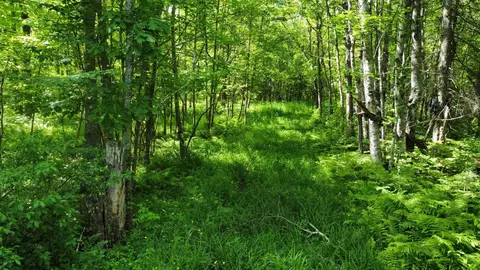 9372 County Rd 41, Willow River, MN 55795 photo 34