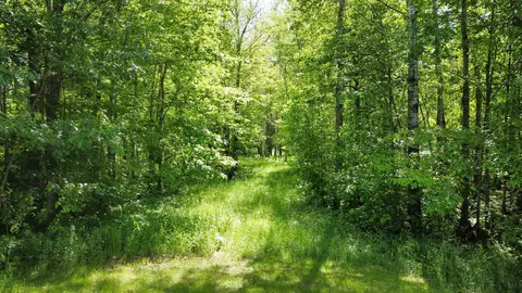 9372 County Rd 41, Willow River, MN 55795 photo 33