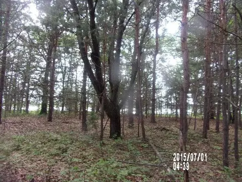 Nnn Viking Boulevard, East Bethel, MN 55092