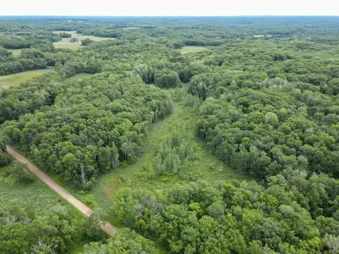 View/Area - 36641 Mosswood Rd, Cushing, MN 56443 photo 3 of 15