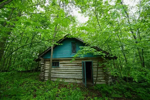 Other - 36641 Mosswood Rd, Cushing, MN 56443 photo 11 of 24