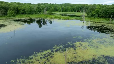 View/Area - 36641 Mosswood Rd, Cushing, MN 56443 photo 6 of 15