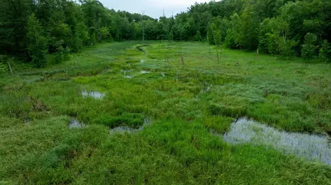 Other - 36641 Mosswood Rd, Cushing, MN 56443 photo 2 of 24