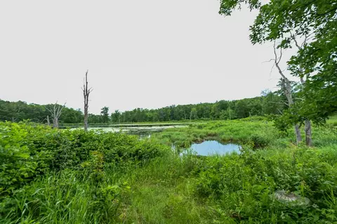View/Area - 36641 Mosswood Rd, Cushing, MN 56443 photo 10 of 15
