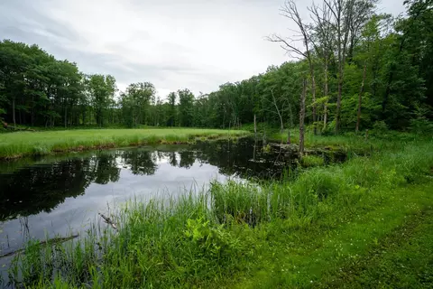 View/Area - 36641 Mosswood Rd, Cushing, MN 56443 photo 11 of 15