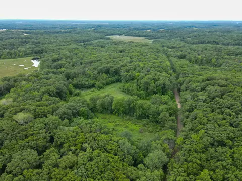 View/Area - 36641 Mosswood Rd, Cushing, MN 56443 photo 2 of 15