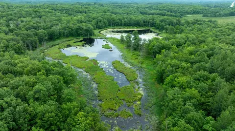 View/Area - 36641 Mosswood Rd, Cushing, MN 56443 photo 5 of 15