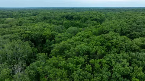 Other - 36641 Mosswood Rd, Cushing, MN 56443 photo 5 of 24
