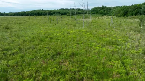 Other - 36641 Mosswood Rd, Cushing, MN 56443 photo 6 of 24
