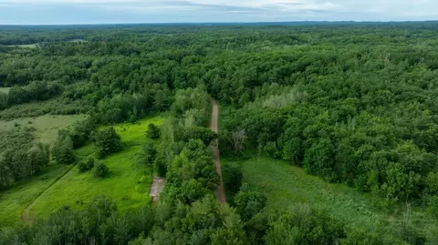 View/Area - 36641 Mosswood Rd, Cushing, MN 56443 photo 7 of 15