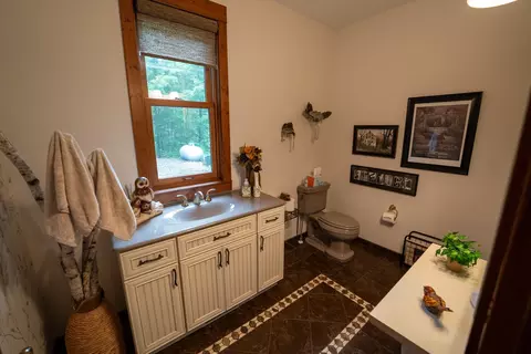 Bath - 36641 Mosswood Rd, Cushing, MN 56443 photo 3 of 6