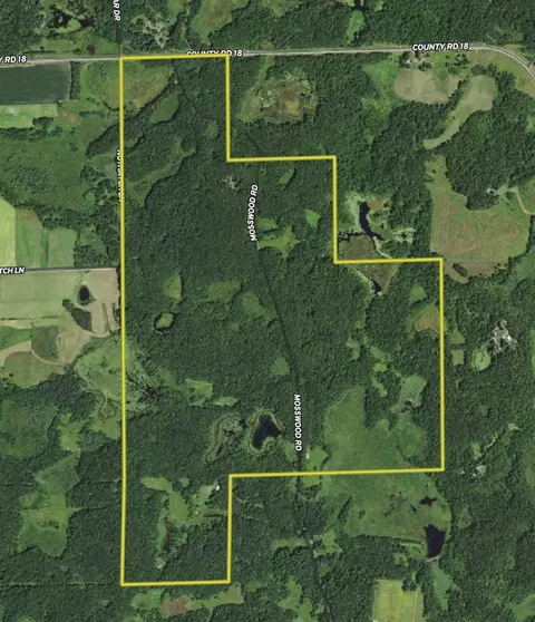 View/Area - 36641 Mosswood Rd, Cushing, MN 56443 photo 13 of 15