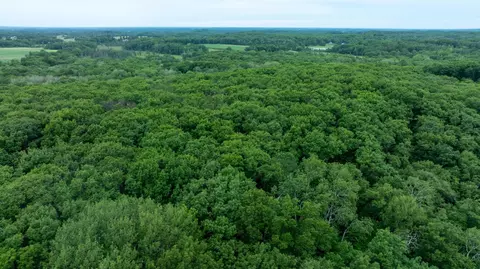 View/Area - 36641 Mosswood Rd, Cushing, MN 56443 photo 4 of 15
