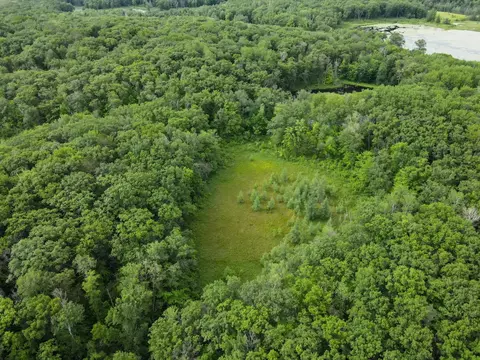 Other - 36641 Mosswood Rd, Cushing, MN 56443 photo 1 of 24