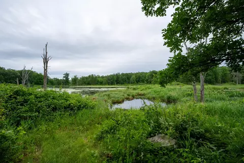 View/Area - 36641 Mosswood Rd, Cushing, MN 56443 photo 12 of 15