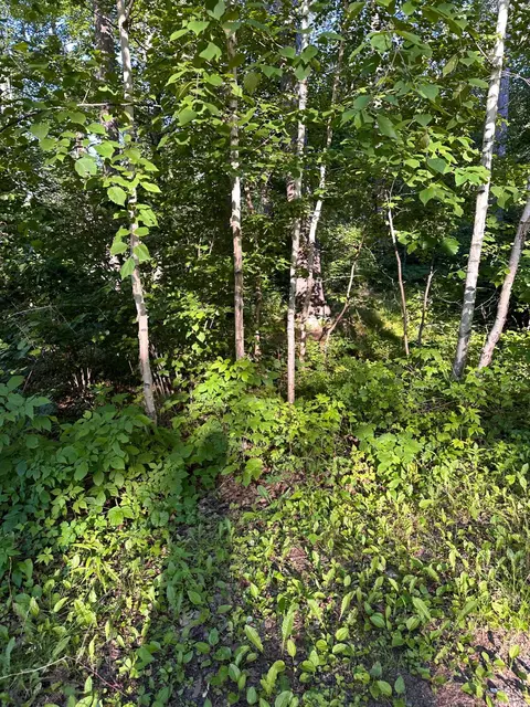 Nnn Lark Place, Mcgregor, MN 55760