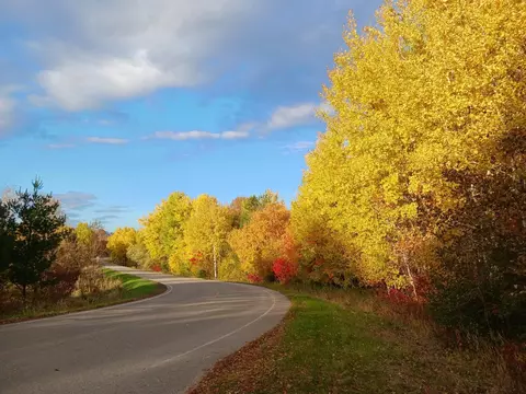 Other - 13865 Hollyhock Rd, Cold Spring, MN 56320 photo 22 of 25