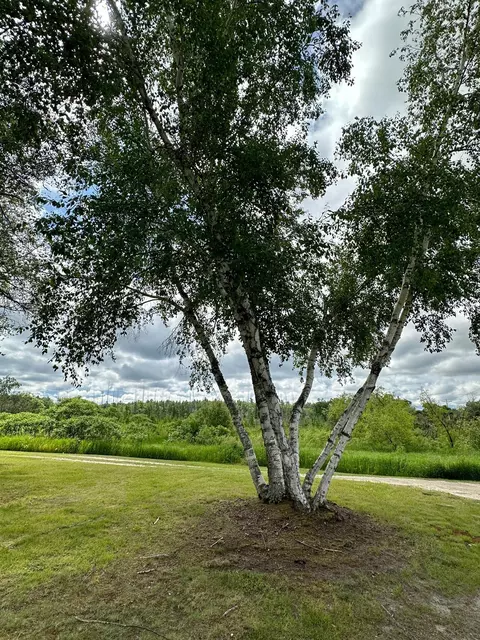 3342 County 45 NW, Hackensack, MN 56452 photo 56